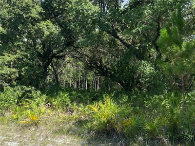 OLEANDER Drive, Indian Lake Estates, FL, 33855 — photo 2