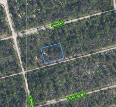 3047 WILLOW Avenue, Lake Placid, FL, 33852 — photo 2
