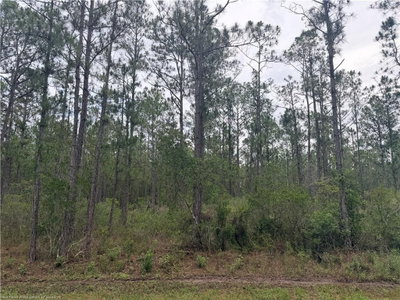 6438 MERRICK Drive, Sebring, FL, 33872 — photo 2