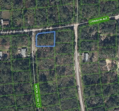 233 MOON GLOW Court, Lake Placid, FL, 33852 — photo 2