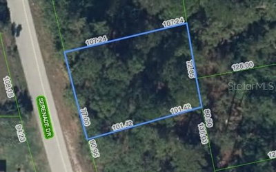 205 SERENADE Drive, Lake Placid, FL, 33852 — photo 2