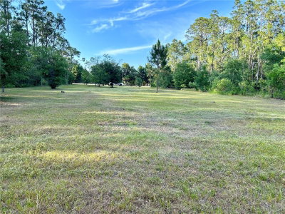 LIMPKIN Lane, Frostproof, FL, 33843 — photo 2