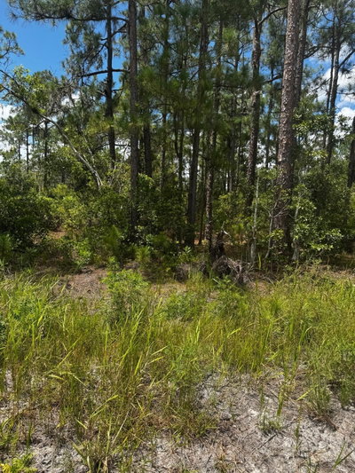 MCCLELLAN Road, Frostproof, FL, 33843 — photo 2