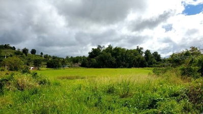 State Road PR-2 KM. 94.0, Camuy, PR, 00627 — photo 2