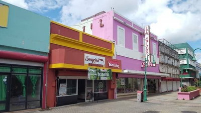 12 Gautier Beni VIZCARRONDO AVENUE, Caguas, PR, 00725 — photo 2