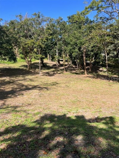 Lot 8 VILLA DORADO ESTATES Street, Dorado, PR, 00646 — photo 2
