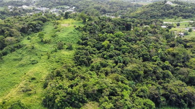 Road PR 955 JIMENEZ WARD, Rio Grande, PR, 00745 — photo 2