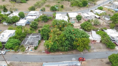 260 CALLE PINOS, Vieques, PR, 00765 — photo 2