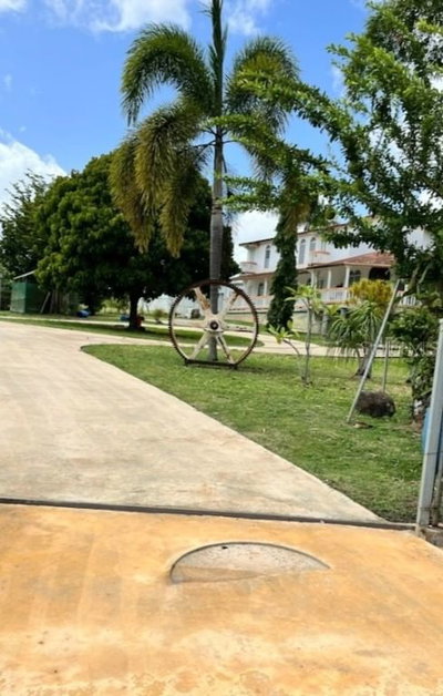 500 BRISAS DE BARAHONA, Morovis, PR, 00687 — photo 2