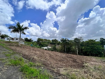 Carr 633 Lot 3  BARRIO BARAHONA, Morovis, PR, 00687 — photo 2