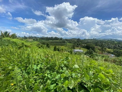 CARR 152, Barranquitas, PR, 00794 — photo 2