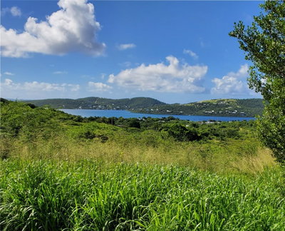 3 BARRIO FLAMENCO, Culebra, PR, 00775 — photo 2