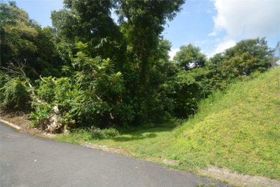 Bo. Marzan PR-820, Toa Alta, PR, 00953 — photo 2