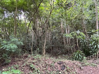 Bo. Candelaria PR 647 CAMPO NUEVO -AZUCENA ST., Vega Alta, PR, 00692 — photo 2