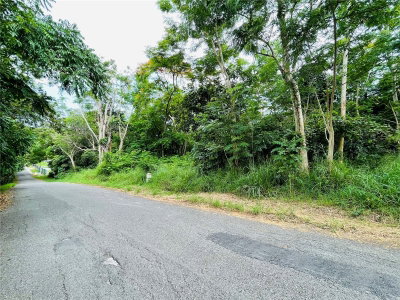 CARR 100 KM 5.2 BO. MIRADERO, Cabo Rojo, PR, 00623 — photo 2