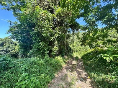 Road PR-140 km  BARRIO DON ALONSO, Utuado, PR, 00641 — photo 2