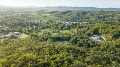 100 PUERTO RICO, Cabo Rojo, PR, 00623 — photo 2