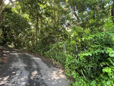CARR 347 KM 1.6 BO SABANA GRANDE ABAJO, San German, PR, 00683 — photo 2