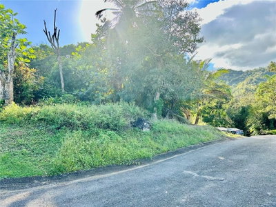 Road 185 Barrio ROAD 185 BARRIO CEDROS, Carolina, PR, 00987 — photo 2