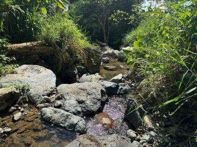 31 INT 950 KM.H BO RIO BLANCO, Naguabo, PR, 00718 — photo 2