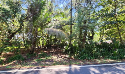 Puerto Nuevo wa PR 686, Vega Baja, PR, 00693 — photo 2