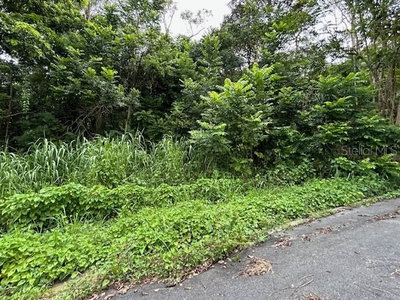 CAMPO NUEVO-AZUCENA 2, Vega Alta, PR, 00692 — photo 2