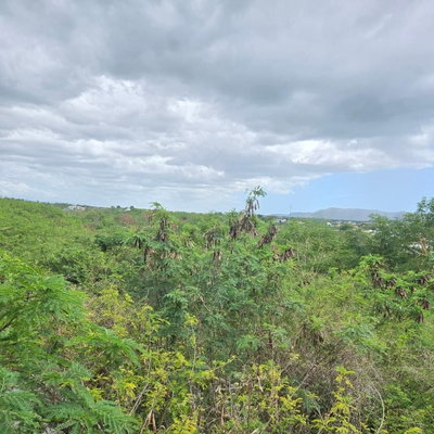 307 PEDERNALES WARD, Cabo Rojo, PR, 00623 — photo 2