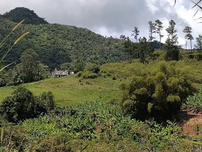 KM 0.2 INT Bo.  PR 152, Barranquitas, PR, 00794 — photo 2