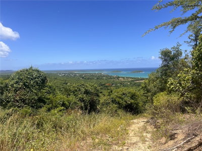 LA HUECA VISTAS LOT 3, Vieques, PR, 00765 — photo 2