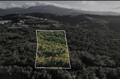 PR-968 KM 2.2 LAS PICUAS, Rio Grande, PR, 00745 — photo 2