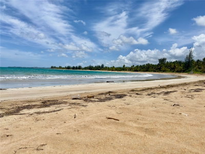 968 CAMINO LAS PICUAS 1, Rio Grande, PR, 00745 — photo 2