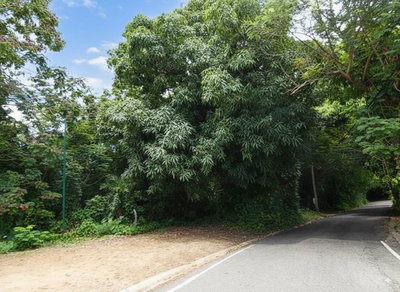 SR 108 KM 8.1 RIO CAÑAS WD, Anasco, PR, 00610 — photo 2