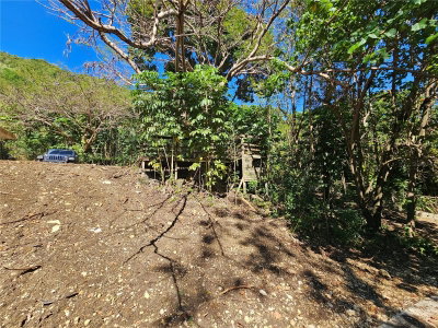 PR-159, Morovis, PR, 00687 — photo 2