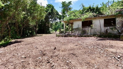 BO ZARAL SEC CAROLA, Rio Grande, PR, 00721 — photo 2