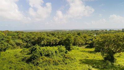 4 PR-995, Vieques, PR, 00765 — photo 2