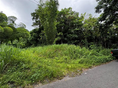 Carr 181 BO MASA KM 13 HM 2, Gurabo, PR, 00778 — photo 2