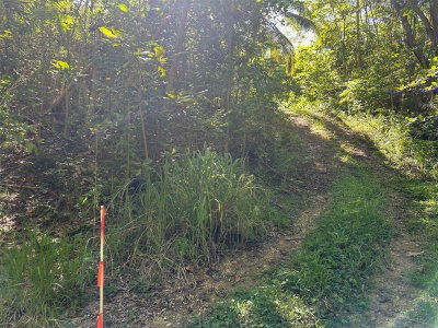 CARR. 413 INTERIOR, Rincon, PR, 00677 — photo 2