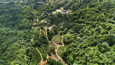 Bo. Hoyos Plane CARR. 531 KM  HM7, Jayuya, PR, 00664 — photo 2