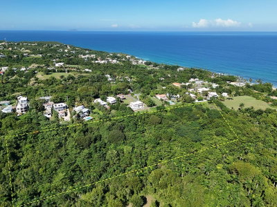 CALLE LAS PALMAS, Rincon, PR, 00677 — photo 2