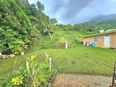 971 971, Naguabo, PR, 00718 — photo 2
