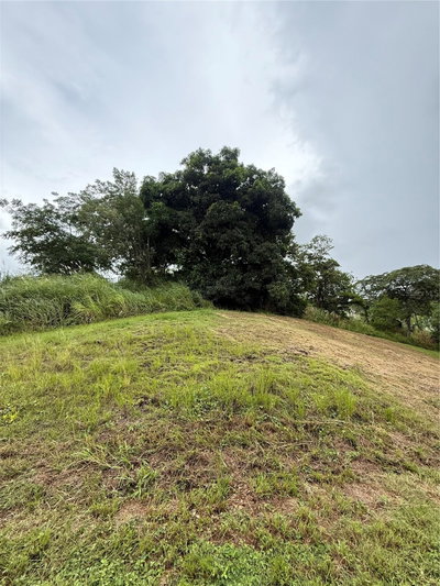 ROUTE 159, Corozal, PR, 00783 — photo 2