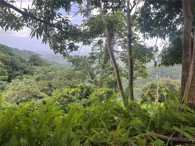 KM 19.9 CARR 128, Yauco, PR, 00698 — photo 2