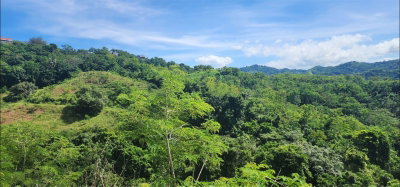 Carr. 412, Km.  CALLE PASCUAL NIEVES, BO. CALVACHE, Rincon, PR, 00677 — photo 2