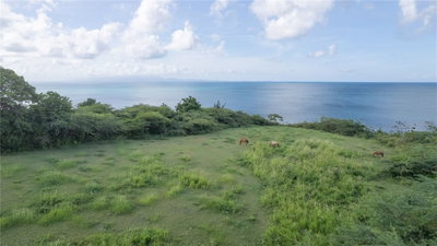 2 CALLE CAÑON, Vieques, PR, 00765 — photo 2