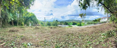 CALLE PINEROS, Cayey, PR, 00736 — photo 2