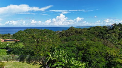 Km 4.4 CARR 413 PUNTAS, Rincon, PR, 00677 — photo 2