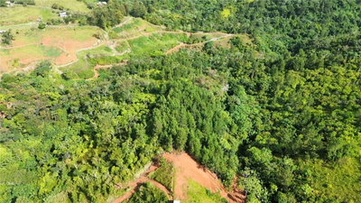 Bo. Maná CARR. 802 KM 2.5, Corozal, PR, 00783 — photo 2