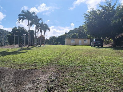 Carr 184 BO. MULAS, Patillas, PR, 00723 — photo 2