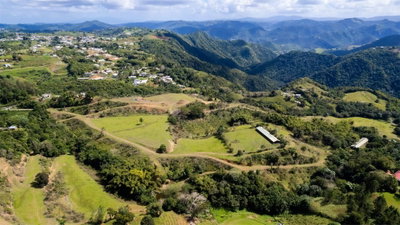 Road 152 CAMINO LAS ORQUIDEAS Road, Barranquitas, PR, 00794 — photo 2