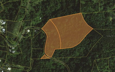 PR 970 MAIZALES WARD, Naguabo, PR, 00718 — photo 2